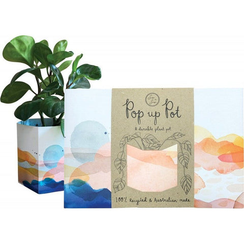 SOW 'N SOW Pop Up Pot Beach - Small 22cm 1
