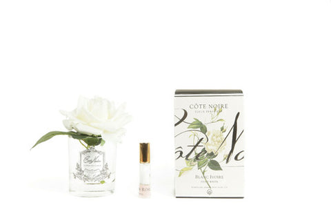 Cote Noire Perfumed Natural Touch Single Rose - Clear Vase - Ivory White