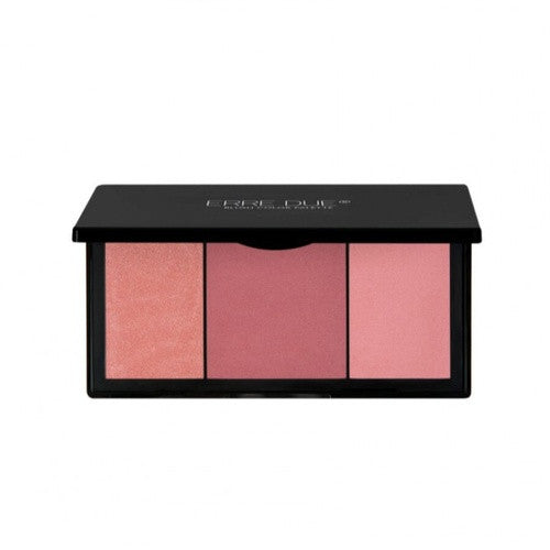 ERRE DUE Blush Color Palette 300 Mary's Cheeks