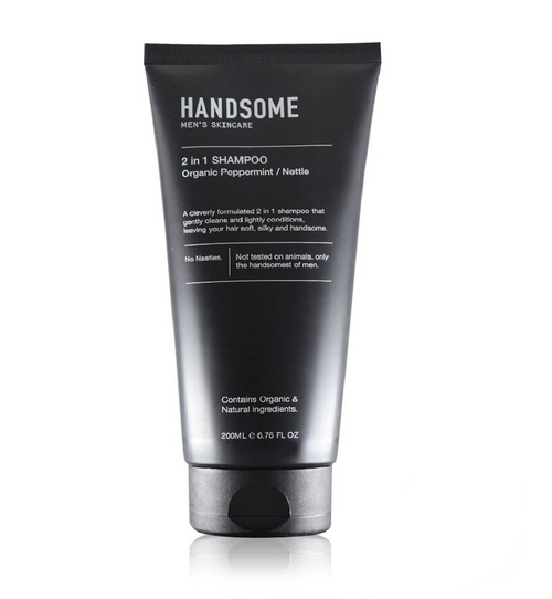 Handsome Men's 2 in 1 Shampoo