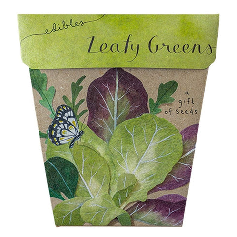 SOW 'N SOW Gift Of Seeds Leafy Greens 1