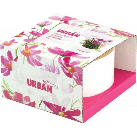 URBAN GREENS Grow Kit Fragrant Sweet Pea - 14x14x8.5cm 1